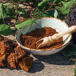 Chaga