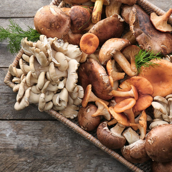 No Risk of Contamination